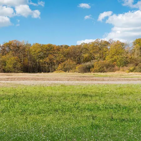 3 Bedroom Amazing In L *